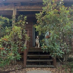 Meet your Posher, Nico